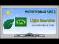 Photosynthesis: The Light Reactions | ANIMATED MUSIC VIDEO |