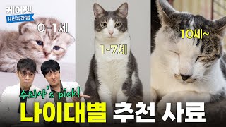 수의사가 알려주는 고양이 연령대별 사료 추천