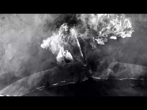 podval capella - whales