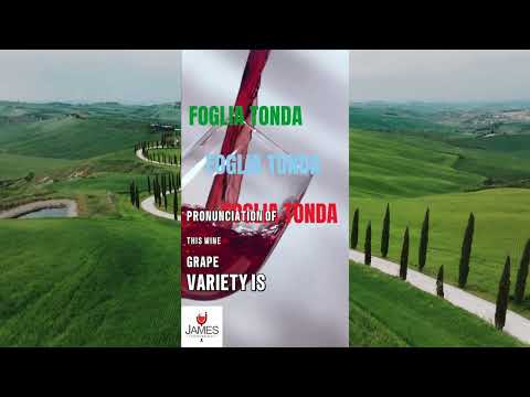How to Pronounce Foglia Tonda #howtopronounce #wine #italy #shorts