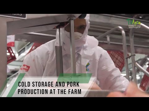 Cold storage and pork production at the farm - TvAgro By Juan Gonzalo Angel