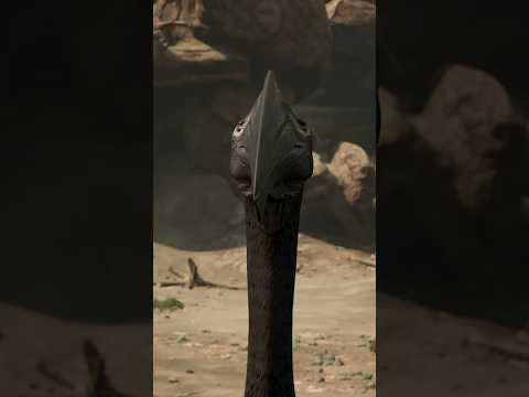 How does your favorite dinosaur look from the front?