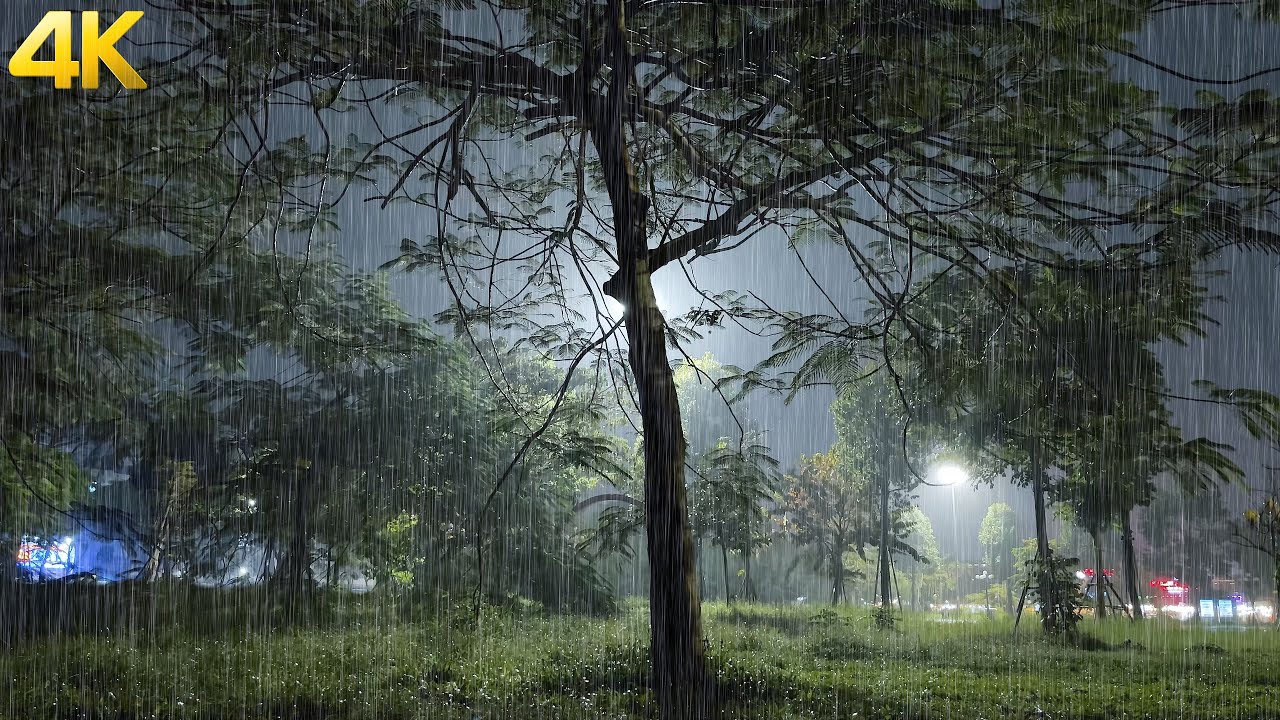 Gentle Rain and Thunder - Get Ready to Sleep Better with the ABSOLUTE BEST Gentle Rain Sound Tonight