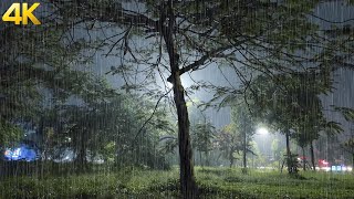 Gentle Rain and Thunder - Get Ready to Sleep Better with the ABSOLUTE BEST Gentle Rain Sound Tonight