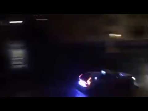 Epa blir jagad av polis