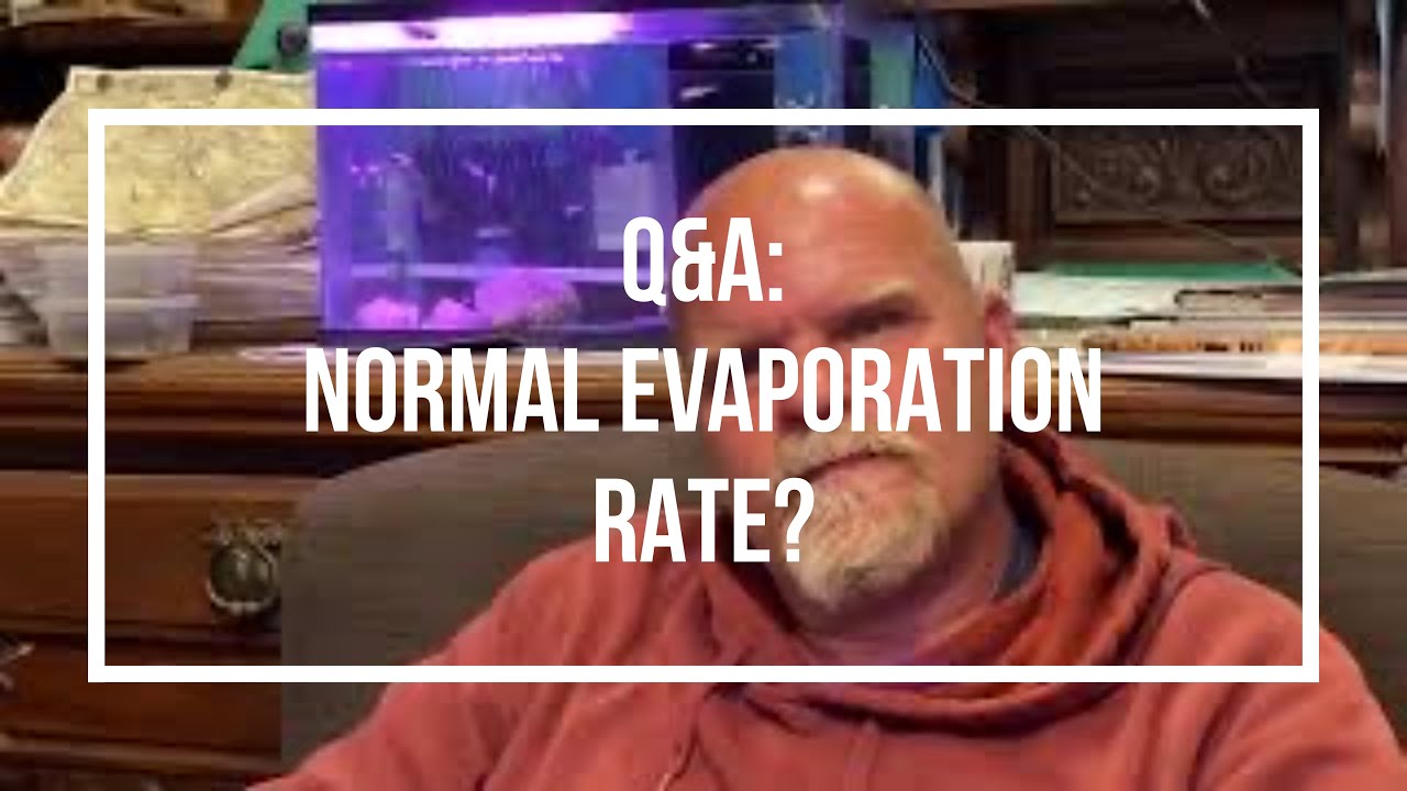What is normal evaporation rate? Tipseri