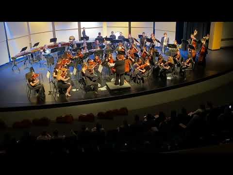 LSW Full Orchestra - Symphony No. 9 in E Minor