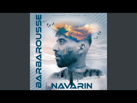 Navarin