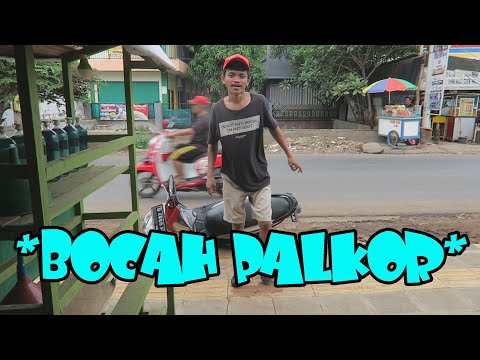 bocah-palkor