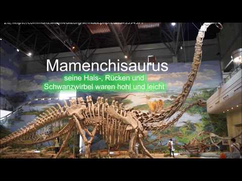 Die Tridaktylen von Nazca, Kapitel 3: Fortsetzung - Erläuterungen der Mumien "Josefina" und "Maria"