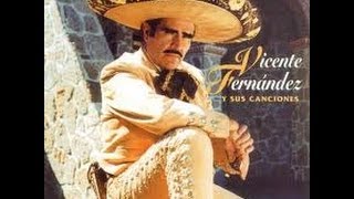 VICENTE FERNANDEZ AL FINAL DEL CAMINO por Salvador Arguell