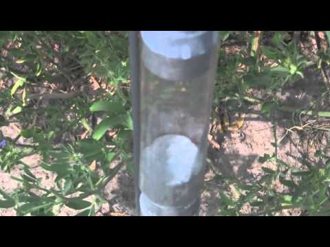 Simon's Rocket Launches 1-6 with Insect/Bug Payloads