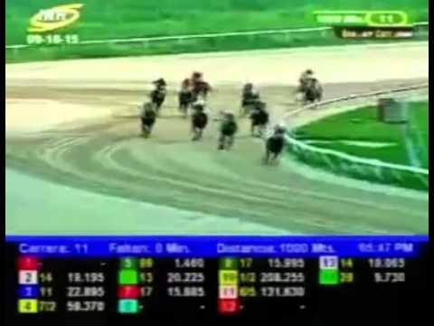 VALENCIA 11 CARRERA, VIERNES 09 DE OCTUBRE DEL 2015