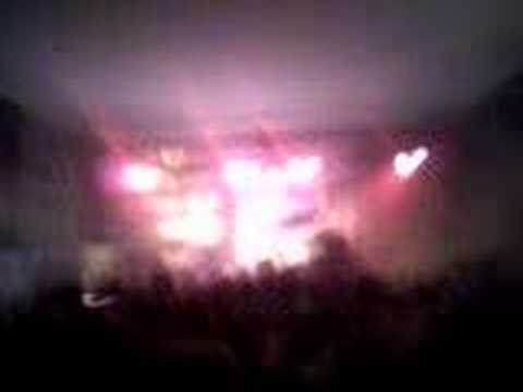 Preuteleute @ Scoutsival