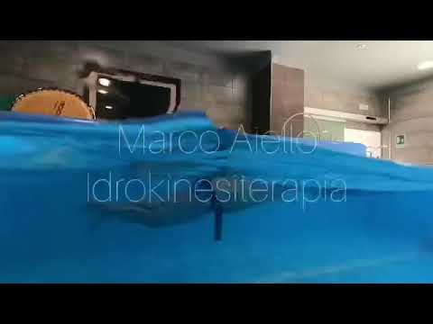 Centri medici Smolensk sostituzione dellanca Set video di esercizi per osteocondrosi seno