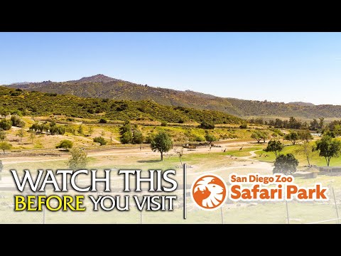 The Beginner's Guide to the San Diego Zoo Safari Park