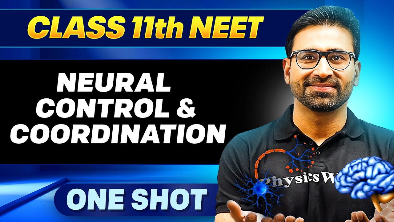 NEURAL CONTROL & COORDINATION in ONE SHOT || All Concepts, Tricks & PYQ || Ummeed NEET