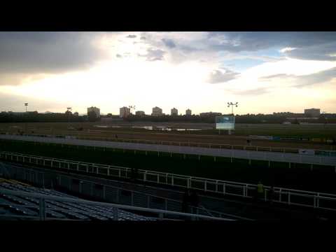 Krőzus gátverseny 2017.06.16