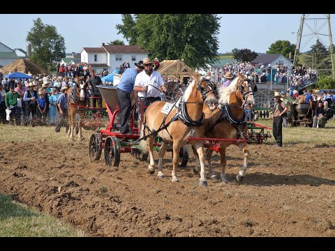 Horse Progress Days 2021