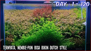 Update Aquascape Dutch Style | Hari ke 1 - 120 | Apa Kuncinya Bisa Tumbuh Lebat Gini?