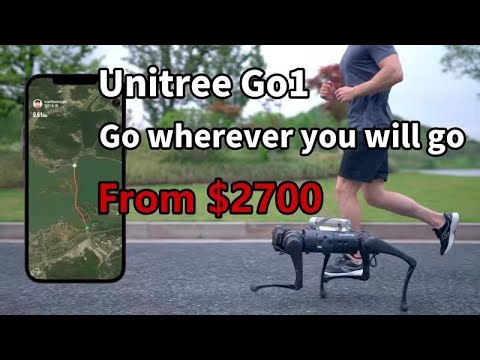 Unitree Go1 Review Video 2