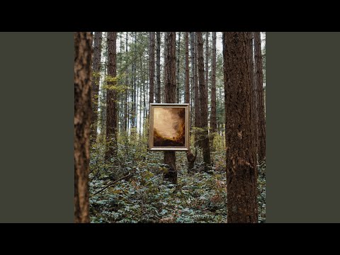 the cost (given for us)