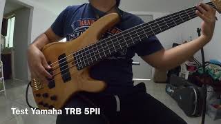 Video thumbnail for Yamaha TRB 5PII Test by Chema Chatu
