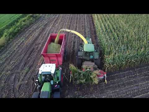 mais hakselen fam van gestel