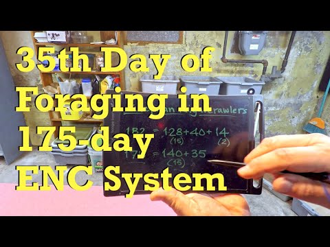 175-day Euro worm bin at day 35 of foraging - vermicompost