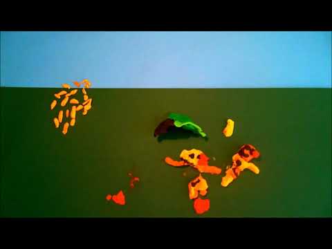 Die hungrige Schlange