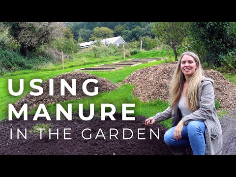 Using Manure in the Garden (and why it's the best compost)