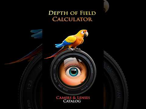 Depth of Field N - DoF video thumbnail