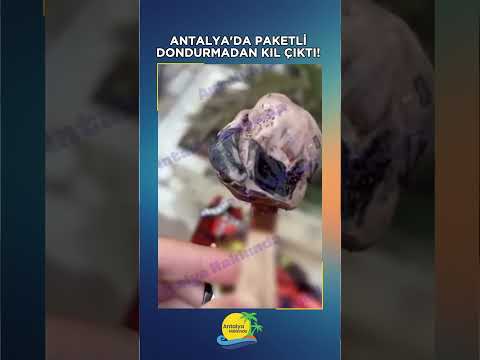 Antalya'da paketli dondurmadan kıl çıktı! O anlar kamerada