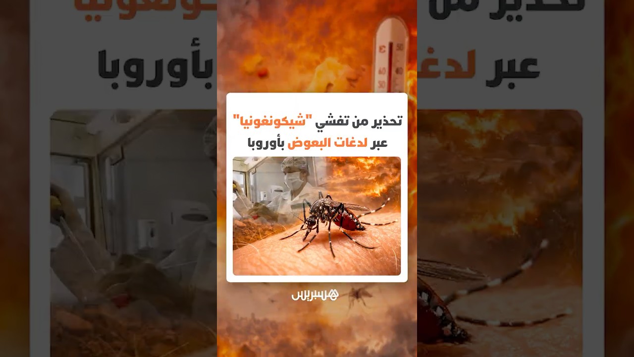 تحذير من تفشي "شيكونغونيا" عبر لدغات البعوض بأوروبا بفعل الاحتباس الحراري وتغيّر المناخ thumbnail