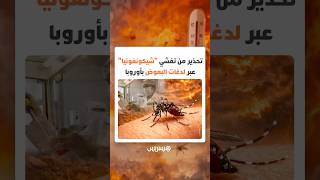 تحذير من تفشي "شيكونغونيا" عبر لدغات البعوض بأوروبا بفعل الاحتباس الحراري وتغيّر المناخ thumbnail
