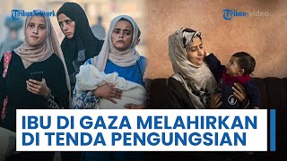 Kisah Ibu di Gaza Berjuang Besarkan Anak Dibawah Perang & Reruntuhan, A Different Kind of Motherhood