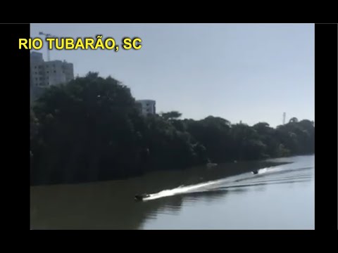 Limpeza do Rio Tubarão, SC