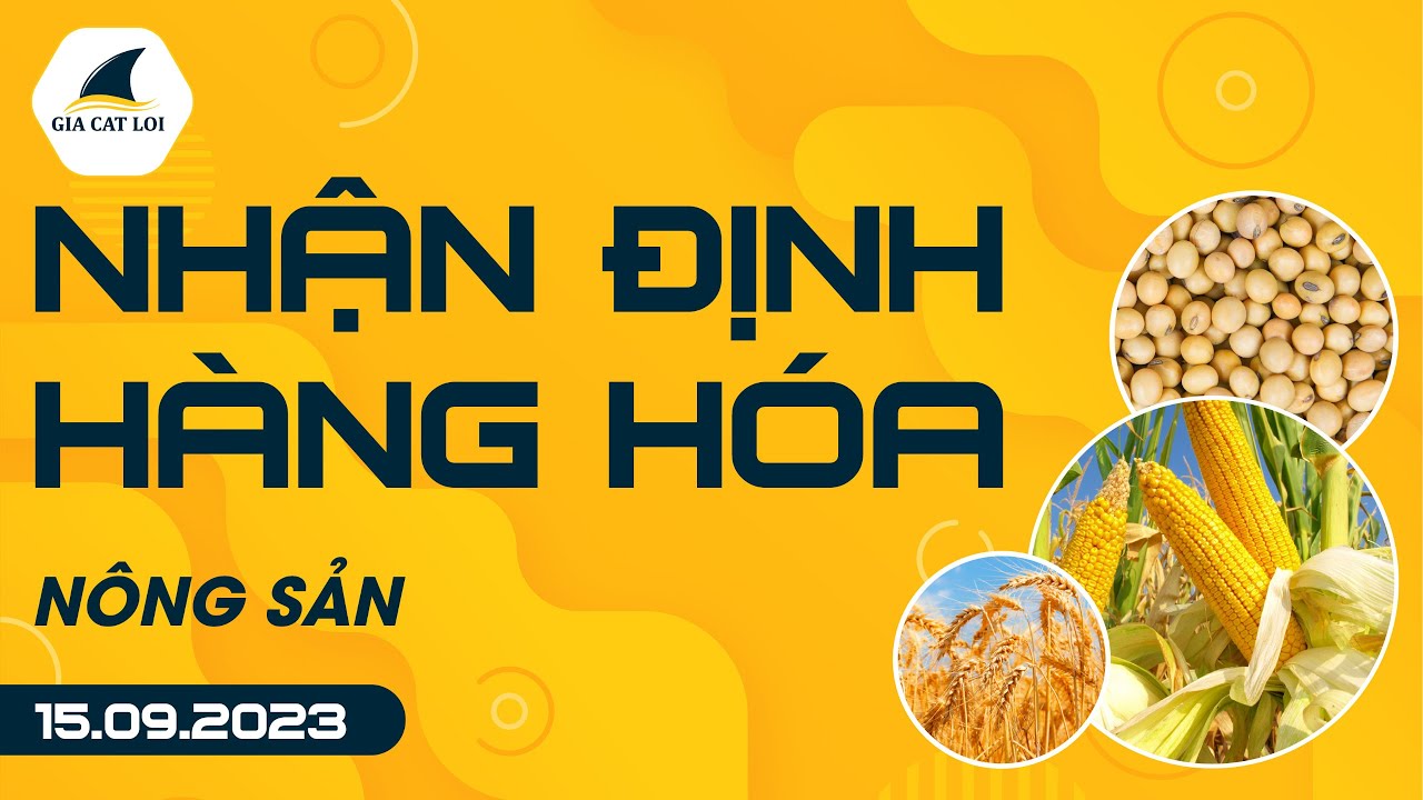 Nhận Định Hàng Hoá Nông Sản Ngày 15/09/2023