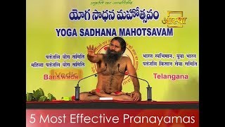 5 Most Effective Pranayamas - Basic Deep Breathing Exercises | DOWNLOAD THIS VIDEO IN MP3, M4A, WEBM, MP4, 3GP ETC
