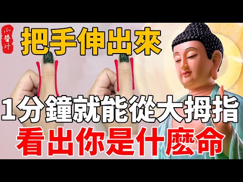 大拇指第一節有幾條線