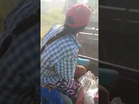 Mision tacaagle formosa