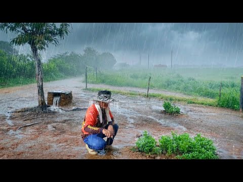 CHUVA NO NORDESTE É SINAL DE FARTURA NA MESA DO HOMEM ROÇA 