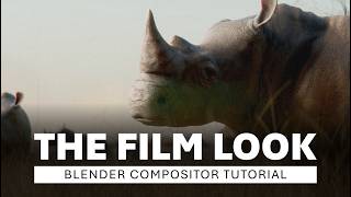 Film Compositor video thumbnail
