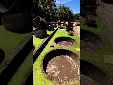 4 de janeiro de 2026