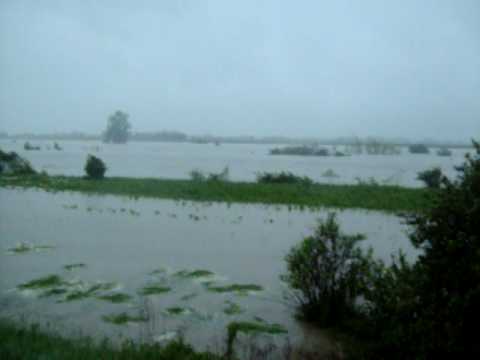Dunajec w Konarach po ulewach, 17.05.2010r. 5