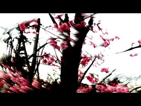 CTAFAD - Through Light (Music Video)