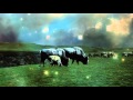 Serj Tankian Re­cons­truc­tive De­mons­tra­tions Official Video