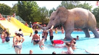 Slides for kids in water park with big elephant Fu