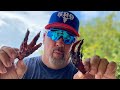 BBQ Chicken Feet