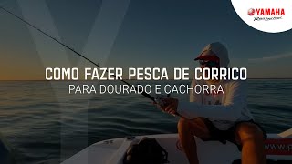 Como fazer pesca de corrico #DicaYamaha com Johnny Hoffman